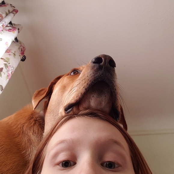 Meet your Posher, Anna - Picture 2 of 2